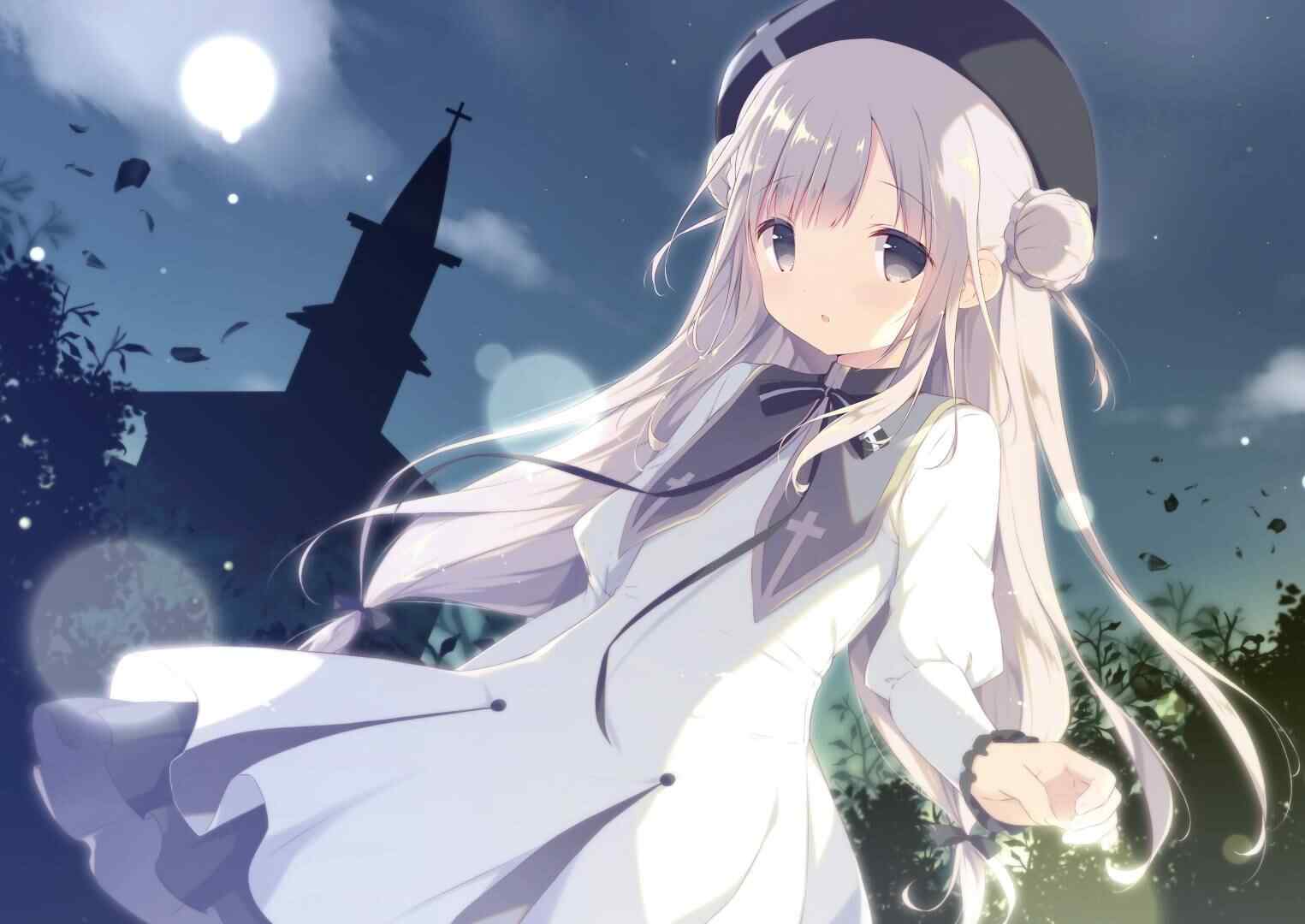 IMG_456.jpg
